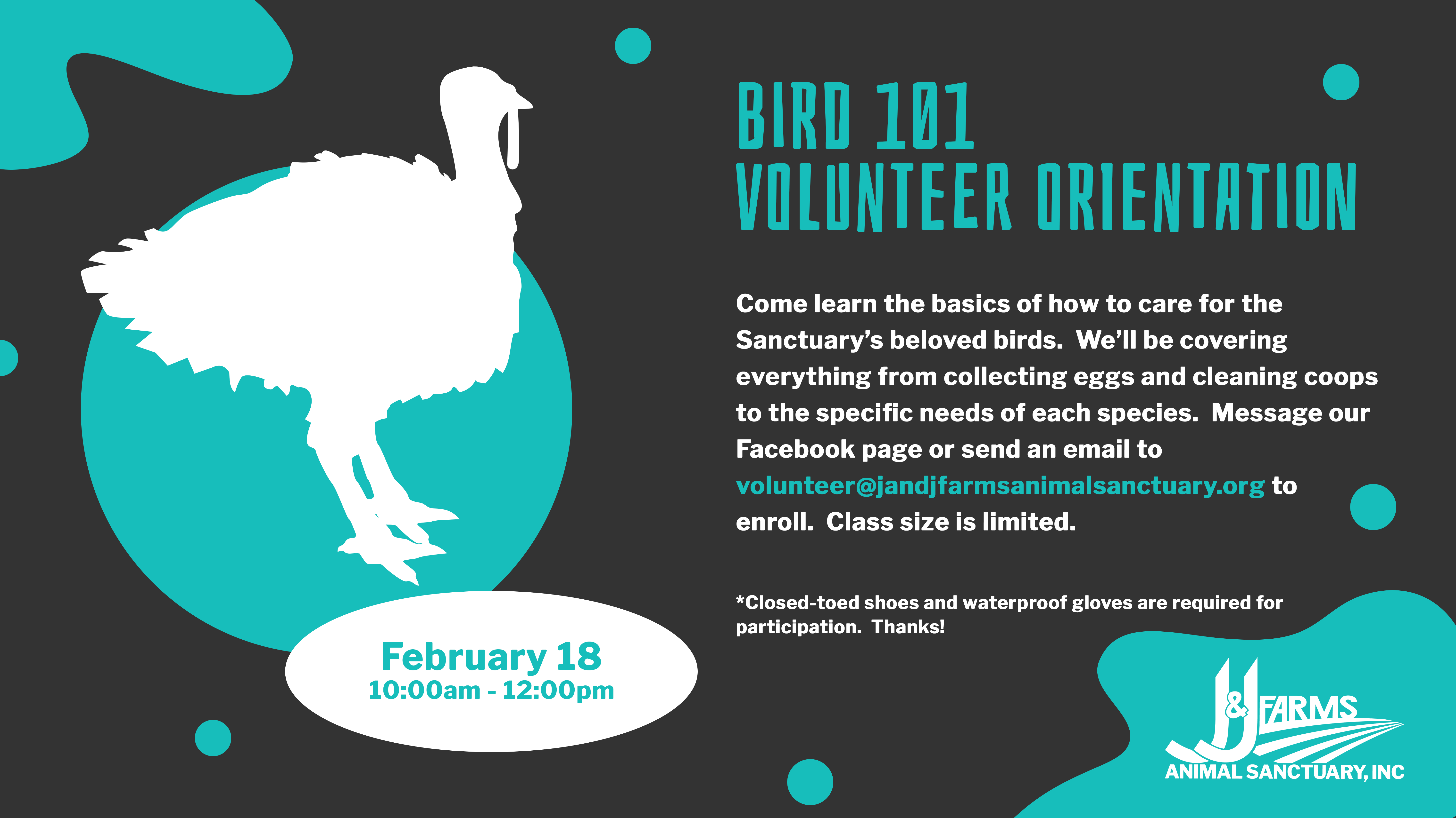 bird 101 volunteer orientation