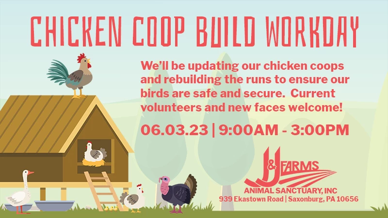 chicken coop build workday