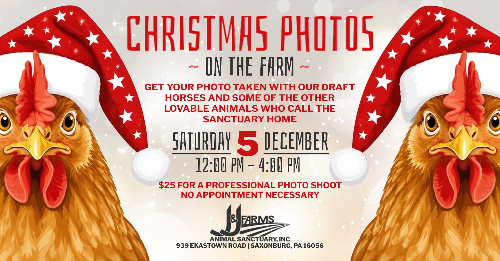 christmas photos on the farm